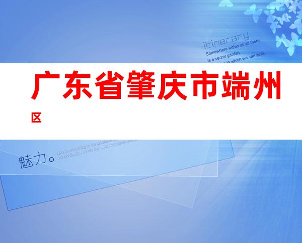 广东省肇庆市端州区